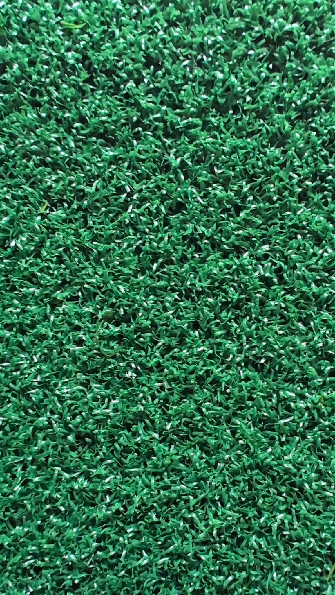 Pro Putt II miniature golf carpet