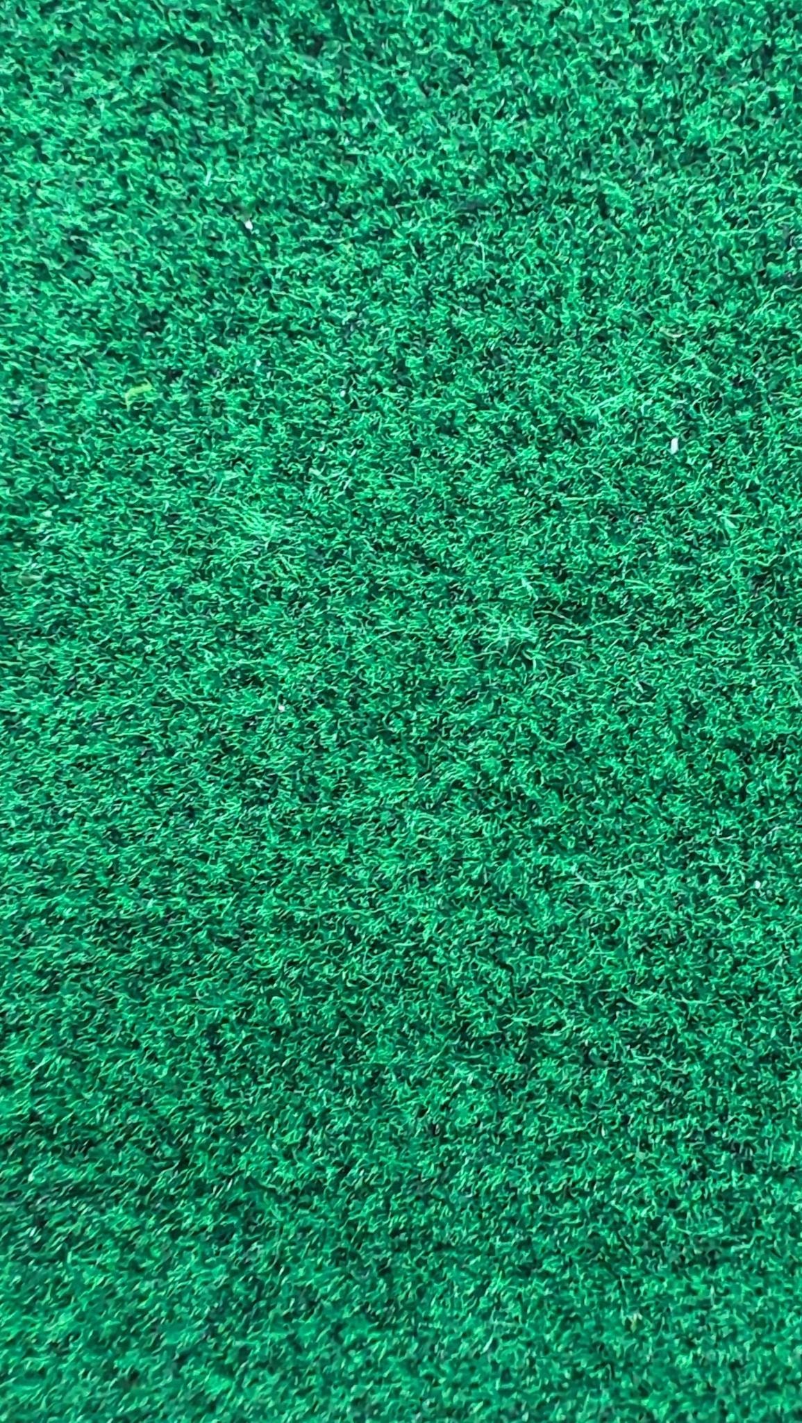 Putt Master miniature golf carpet